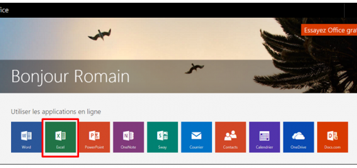 Démarrer Excel Online